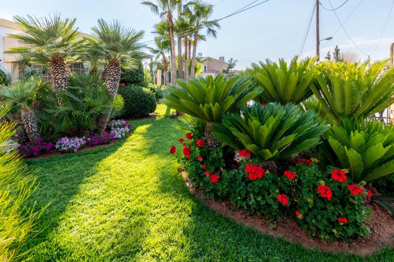 Dedalos Hotel Malia Dış mekan fotoğraf